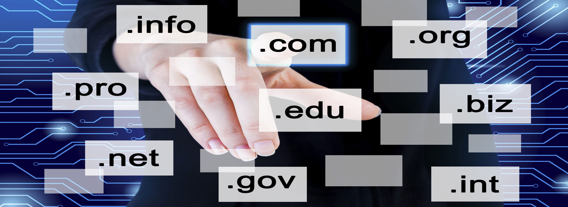 domains-and-premium-domain-baner-fig-2