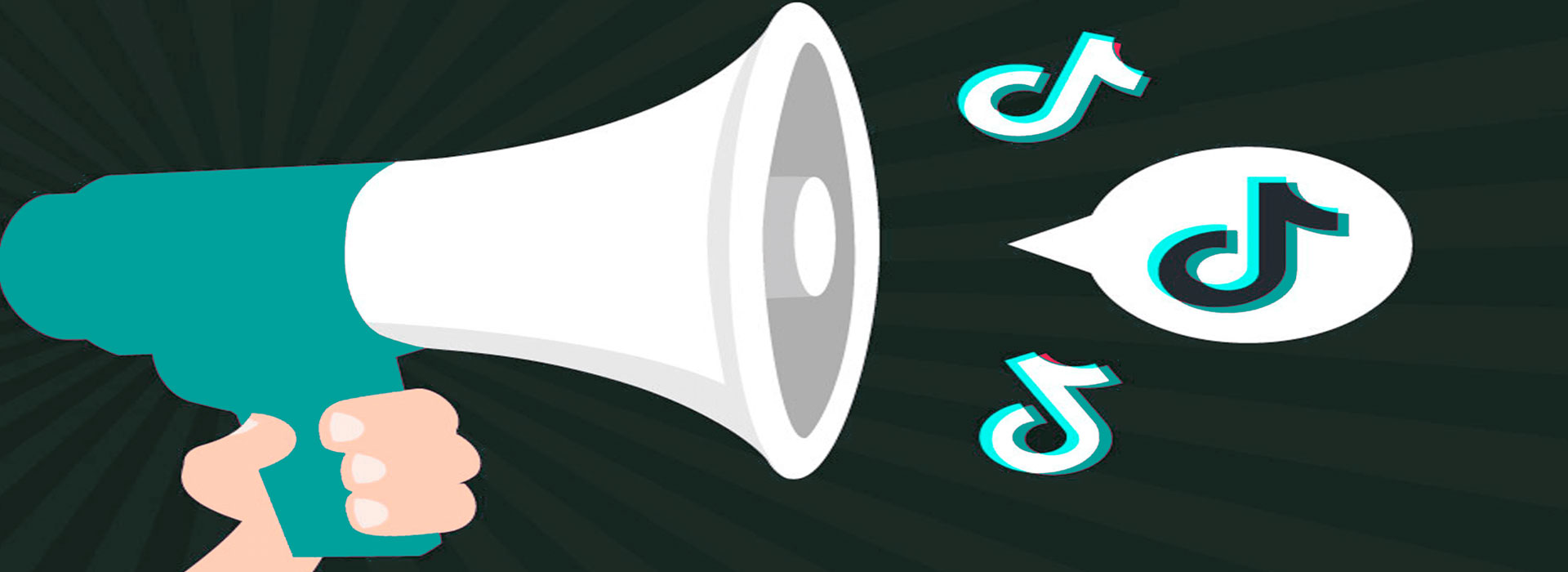 tik-tok-ads-baner-fig-2